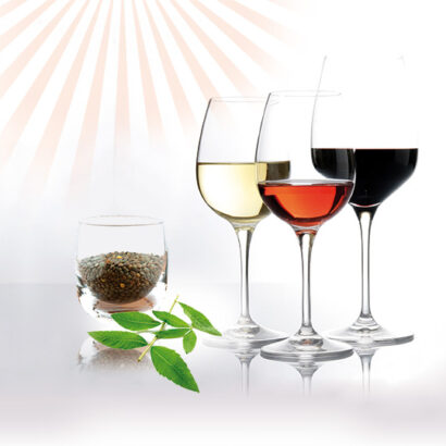 Salon ViniVals Vals-Près-Le Puy